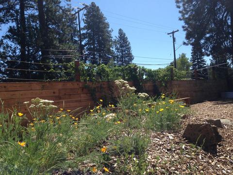 1609 NE 8th St, Bend, OR 97701 photo 21