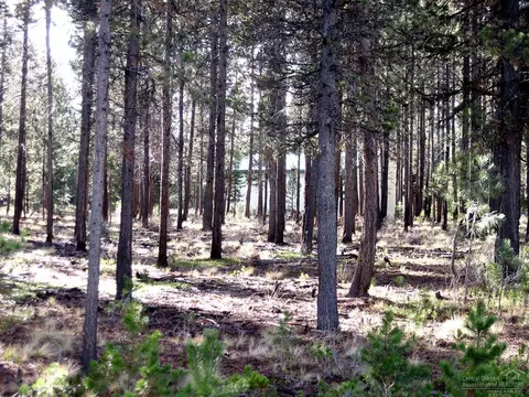 16709 Winchester Dr, Bend, OR 97707 photo 1