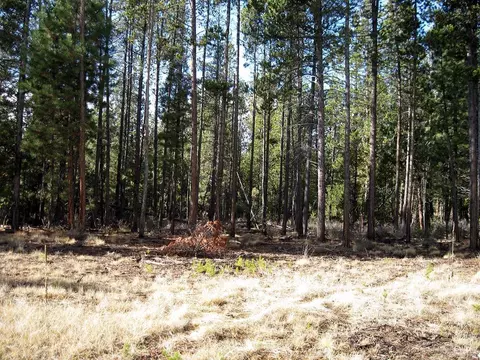 16709 Winchester Dr, Bend, OR 97707 photo 14