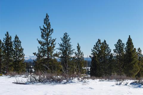 18985 Ridgeline Dr, Bend, OR 97703 photo 8