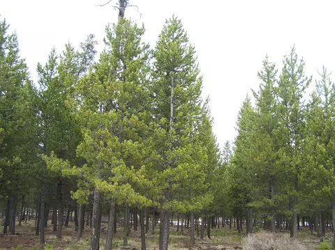 17180 Indio Rd, Bend, OR 97707 photo 2