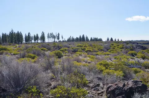 19021 Park Commons Dr, Bend, OR 97703 photo 6