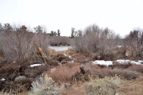 20007 Beaver Ln, Bend, OR 97703 photo 14