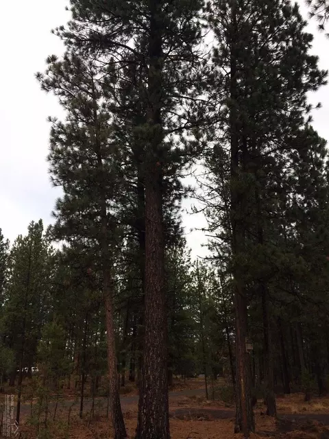 54470 Elk Dr, Bend, OR 97707 photo 6