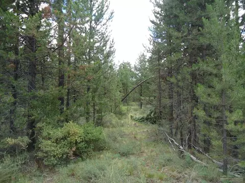 55112 Tamarack Dr, Bend, OR 97707 photo 20