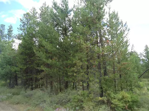 55112 Tamarack Dr, Bend, OR 97707 photo 19