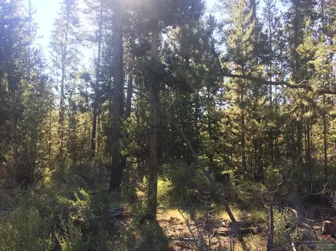 55112 Tamarack Dr, Bend, OR 97707 photo 14
