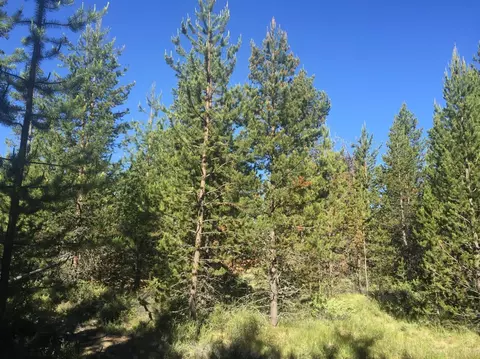 55112 Tamarack Dr, Bend, OR 97707 photo 9