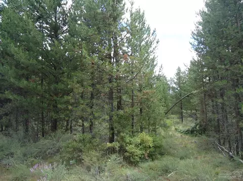 55112 Tamarack Dr, Bend, OR 97707 photo 18