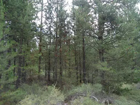 55112 Tamarack Dr, Bend, OR 97707 photo 21