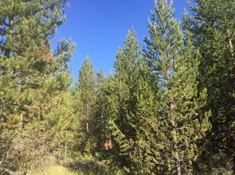 55112 Tamarack Dr, Bend, OR 97707 photo 4