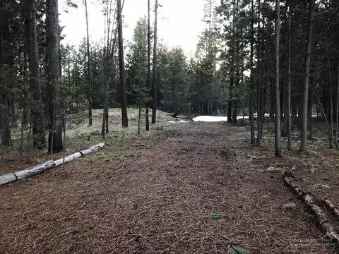 56107 Stellar Dr, Bend, OR 97707 photo 9