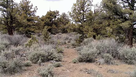 62960 Waugh Rd, Bend, OR 97701 photo 8