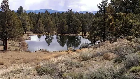 62960 Waugh Rd, Bend, OR 97701 photo 5