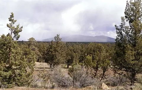 62960 Waugh Rd, Bend, OR 97701 photo 3