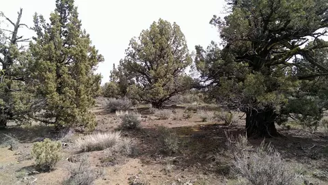 62960 Waugh Rd, Bend, OR 97701 photo 12