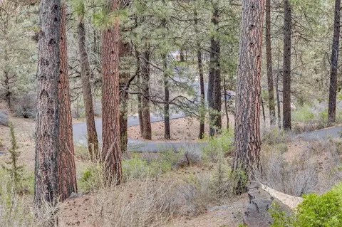 19720 Winter Wren Loop, Bend, OR 97702 photo 5
