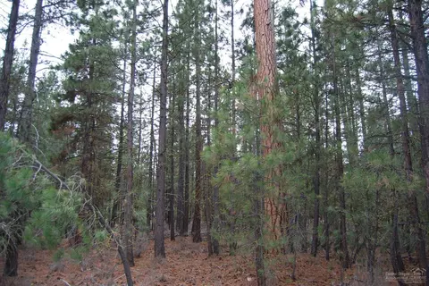14801 Springwood Rd, La Pine, OR 97739 photo 4