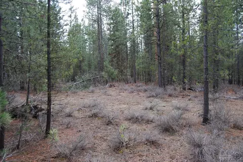 14801 Springwood Rd, La Pine, OR 97739 photo 3