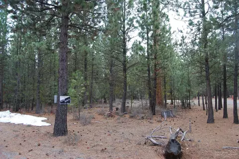 14801 Springwood Rd, La Pine, OR 97739 photo 6