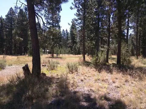 50556 Deer St, La Pine, OR 97739 photo 3