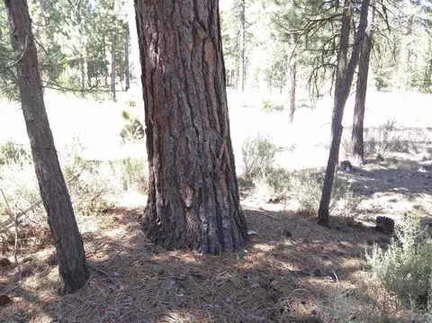 50556 Deer St, La Pine, OR 97739 photo 12