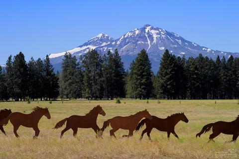 56407 Fireglass Loop, Bend, OR 97707 photo 7