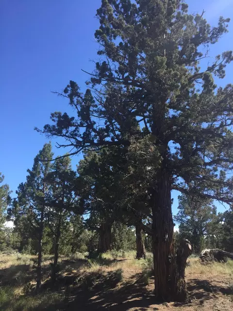 64815 Grande Loop, Bend, OR 97701 photo 4