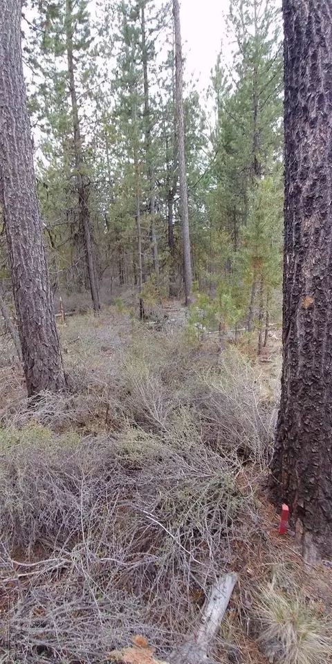 51313 Dianne Rd, La Pine, OR 97739 photo 3