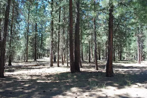 51872 Pine Loop Dr, La Pine, OR 97739 photo 23