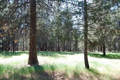 51872 Pine Loop Dr, La Pine, OR 97739 photo 20