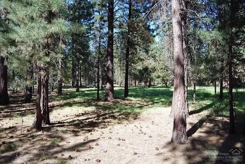 51872 Pine Loop Dr, La Pine, OR 97739 photo 10