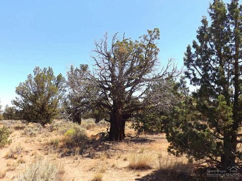 20545 Harper Rd, Bend, OR 97703 photo 9