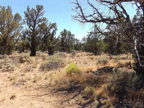 20545 Harper Rd, Bend, OR 97703 photo 13