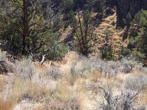 20545 Harper Rd, Bend, OR 97703 photo 11
