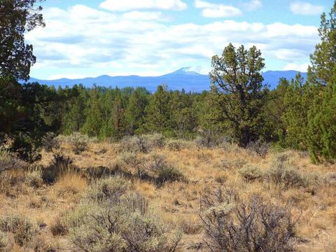 20545 Harper Rd, Bend, OR 97703 photo 4