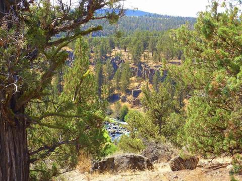 20545 Harper Rd, Bend, OR 97703 photo 16