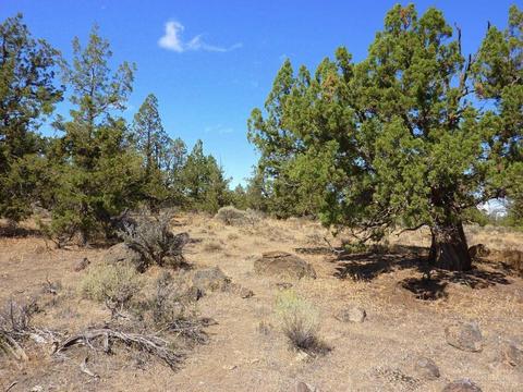 20545 Harper Rd, Bend, OR 97703 photo 10