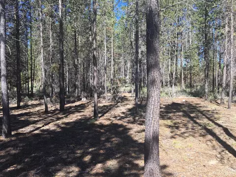 51377 Walling, La Pine, OR 97739 photo 11