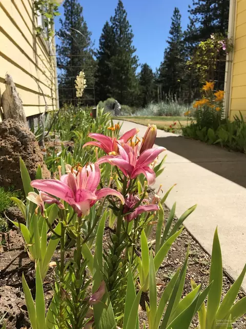61007 Sugarbush Ln, Bend, OR 97702 photo 25