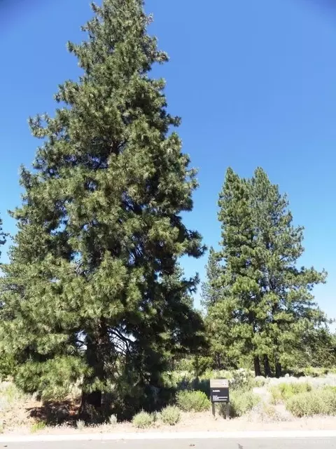 19478 Stafford Loop, Bend, OR 97702 photo 3