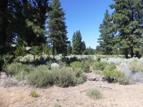 19478 Stafford Loop, Bend, OR 97702 photo 2