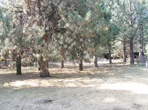 14583 Bluegrass Loop, Sisters, OR 97759 photo 6