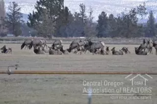 25450 Walker Rd, Bend, OR 97701 photo 1