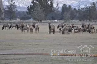 25450 Walker Rd, Bend, OR 97701 photo 20