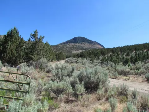 16032 Lost Coyote Ln, Mitchell, OR 97750 photo 3