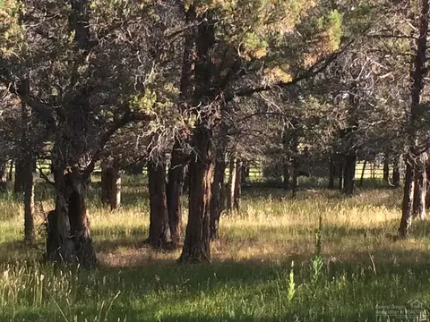 65541 Tweed Rd, Bend, OR 97703 photo 3