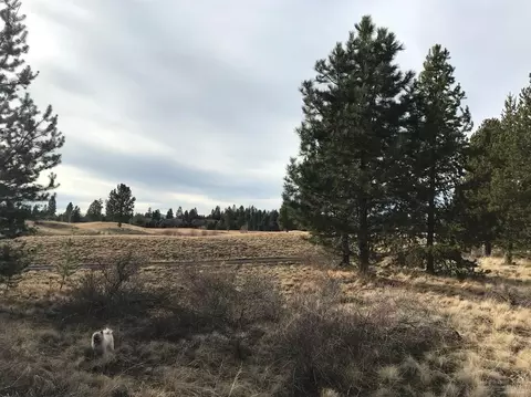 56964 Dancing Rock Loop, Bend, OR 97707 photo 2