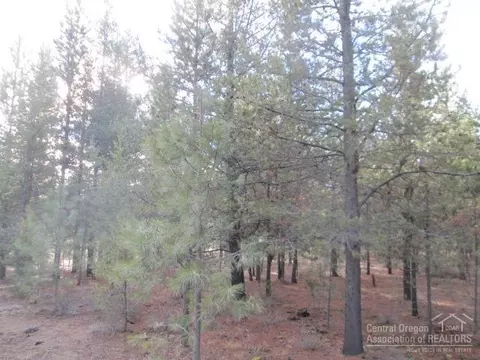 53423 Holiday Dr, La Pine, OR 97739 photo 3
