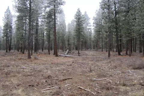 16415 Stage Stop Dr, Bend, OR 97707 photo 9